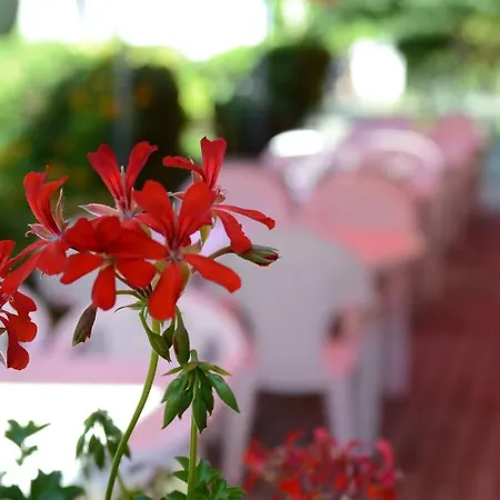 Bed and breakfast Zóna üdülő Zamárdi