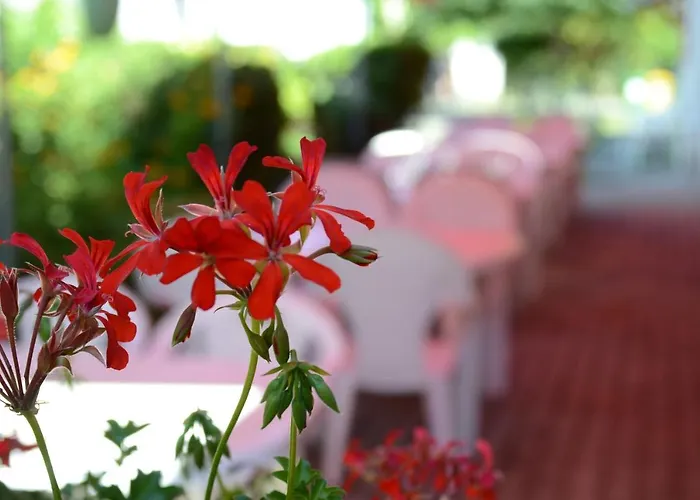 ベッド・アンド・ブレックファスト Zoeld Zona Ueduelo Zamárdi